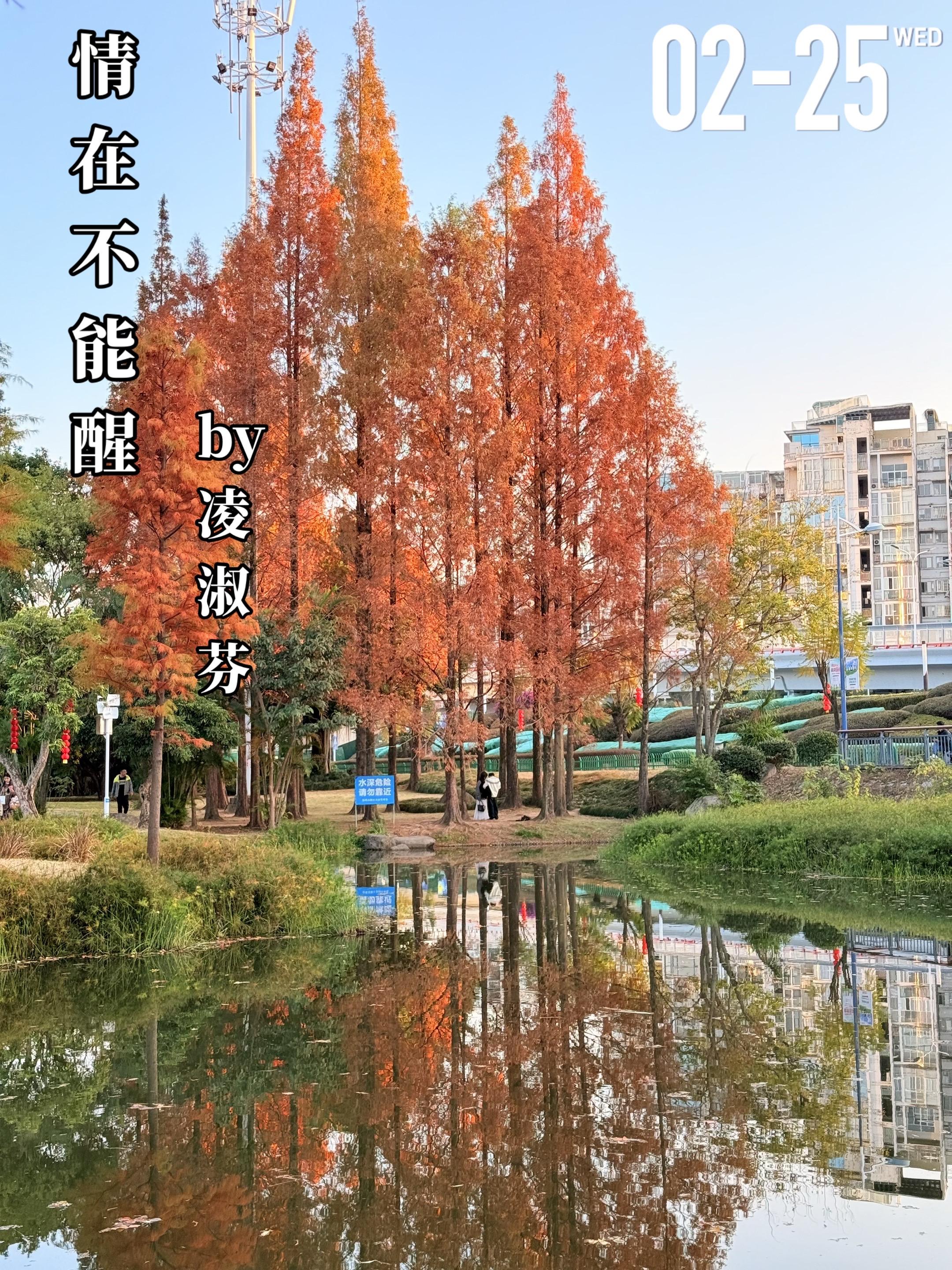 《情在不能醒》by凌淑芬。成萸（女主）母亲在生下她不久便离世了，八岁时...