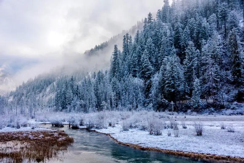 今年冬天的不同今年冬天确实和往年不太一样。暖冬感特别明显，多数地区入冬晚、气温