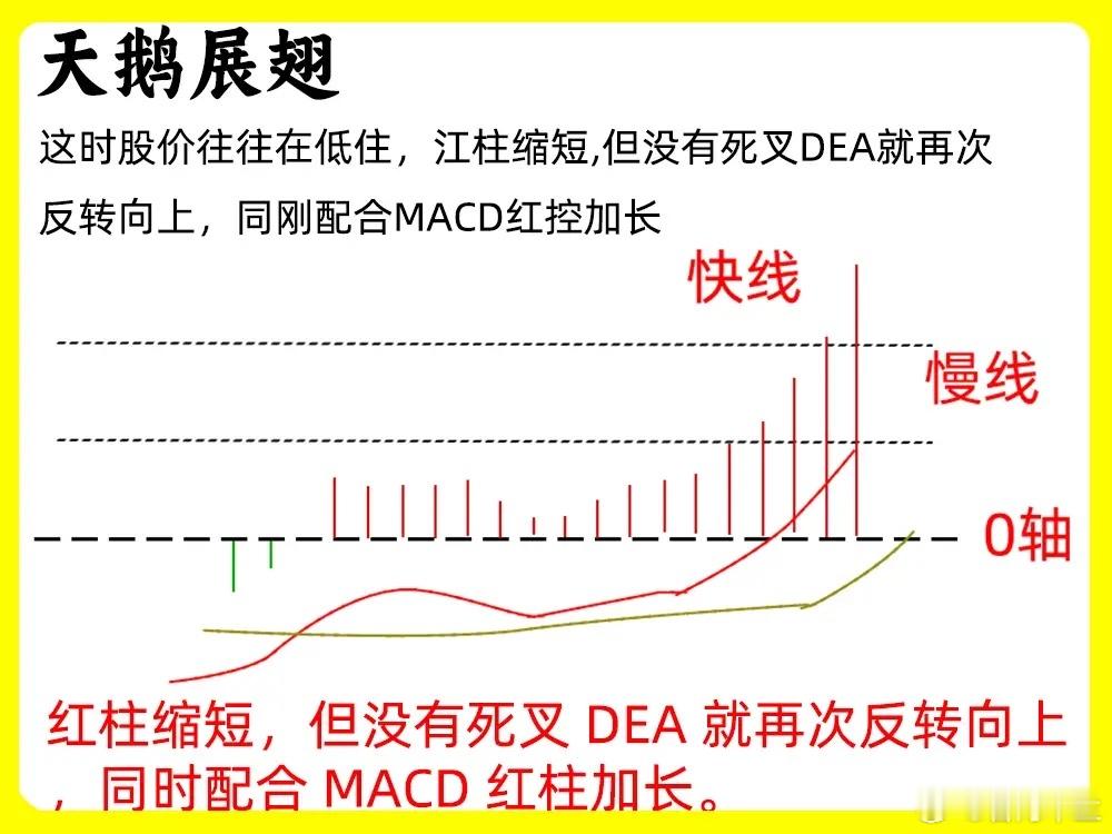 注意了！MACD指标重要性不言而喻，但是真正了解MACD的人却不是很多，很多还