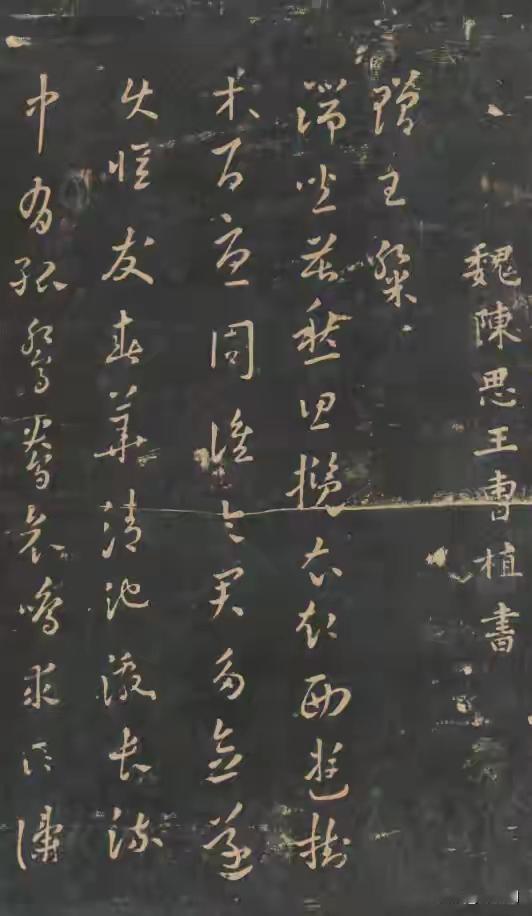 曹植一直以文采闻名，《洛神赋》堪称“千古第一名文”，谢灵运那句“天下才共一石，曹