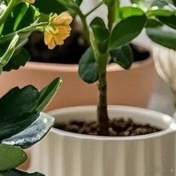 每一个人心里都有那么一段故事，无法诉说，只能在深夜里回忆，但是人总是要醒来的，在