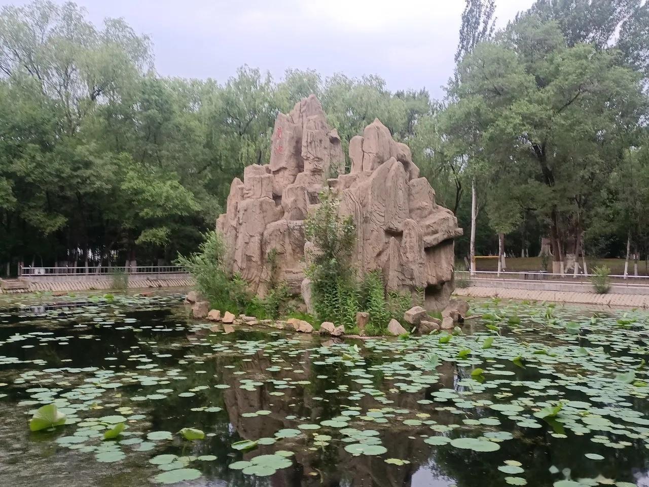 人最好的养血提神的方法，特简单，就三种方法。睡觉，喝水，运动。睡觉帮你提神的，觉