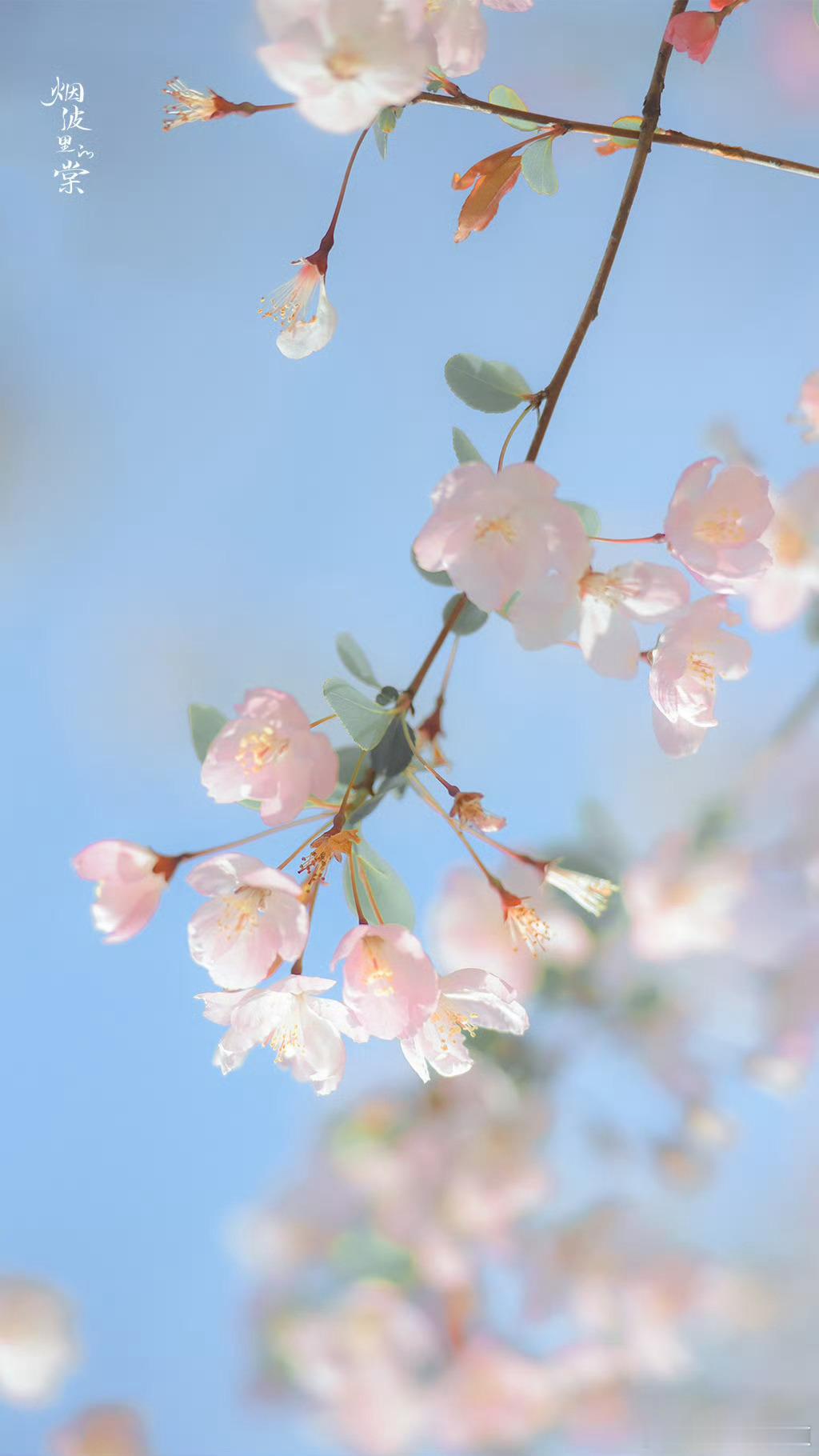 🔅每日‬一善🔅我们要乐于向上，积极进取，有坚强的意志，百折不挠，持之以恒