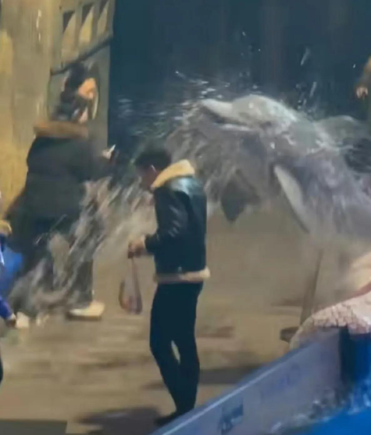 最近在网上刷到一条视频真是让人又好气又好笑。在一个海洋馆里，一位男游客大概是想找