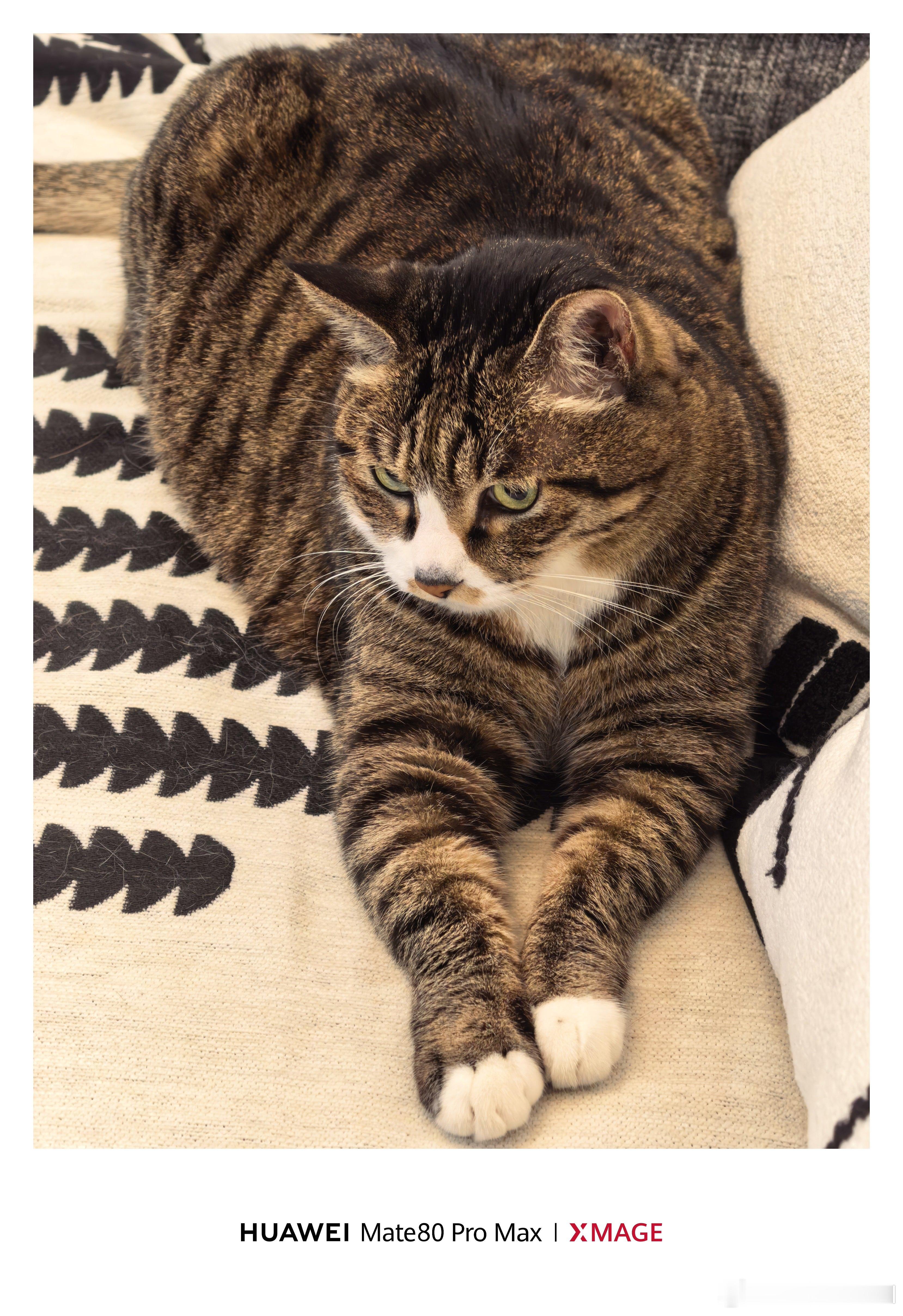 这小眼神，看起来有心事啊