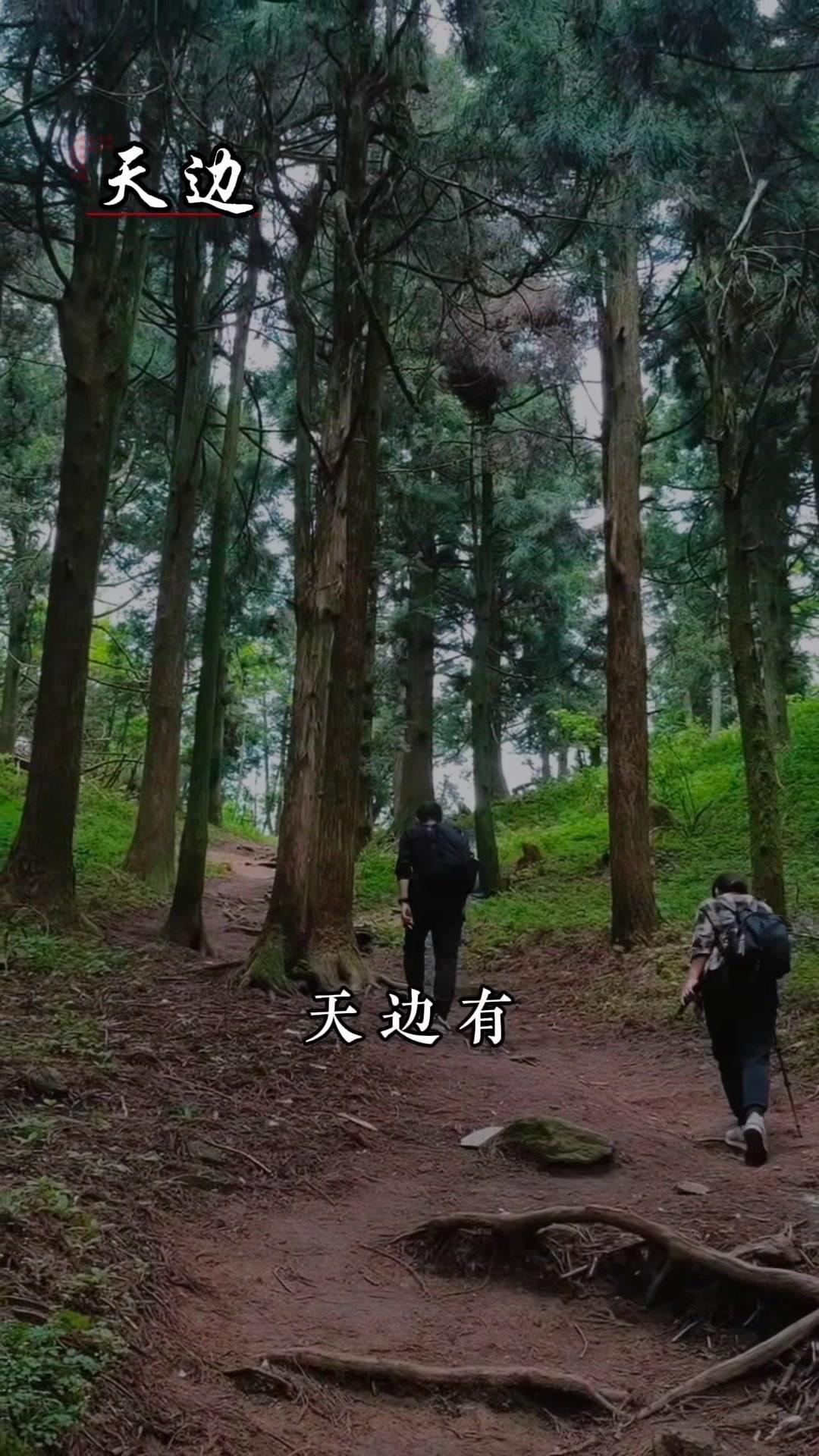 🌄在徒步路上，天与山的拥抱太治愈了。天边双星如梦中眼睛，山间晨雾似昨夜柔情，每
