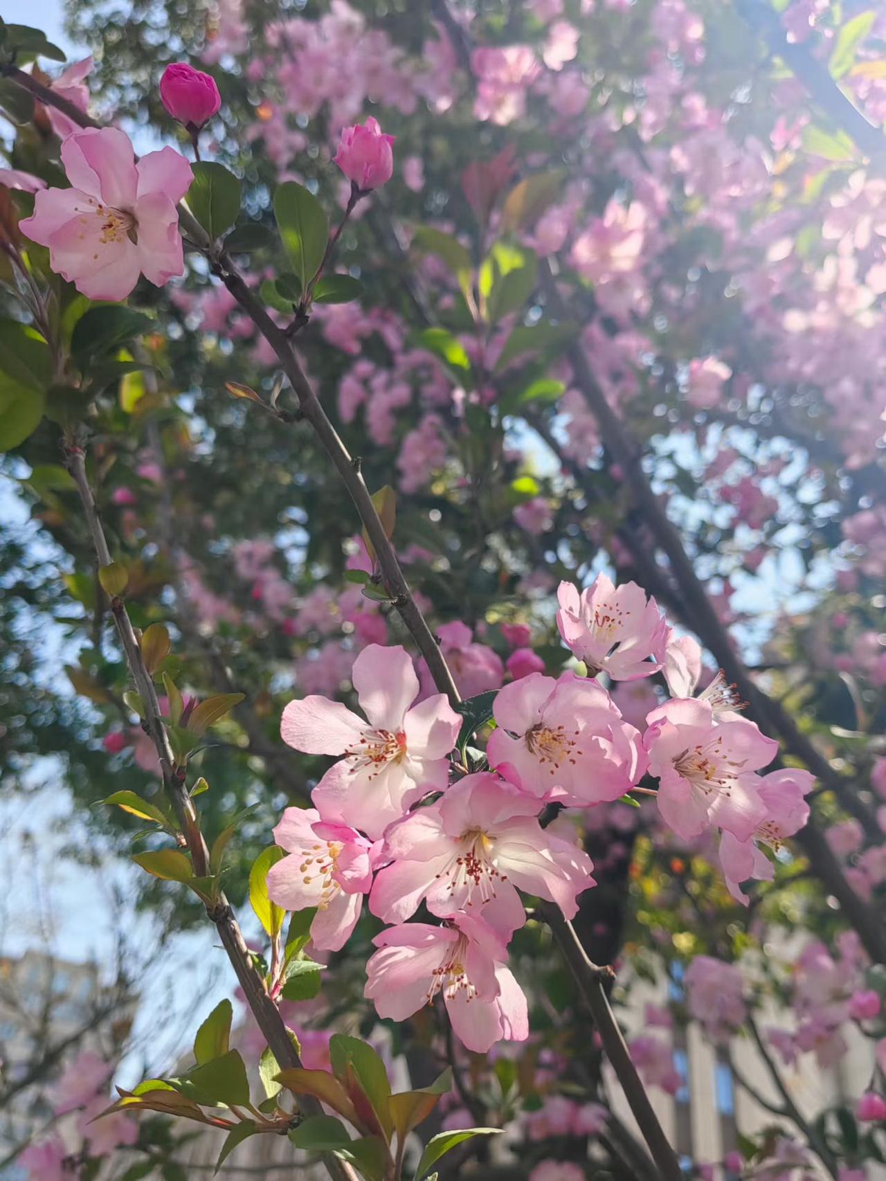 我突然有了一种很奇怪的想法：我到底还能在这个世界上活多久呢？我已经五十岁了