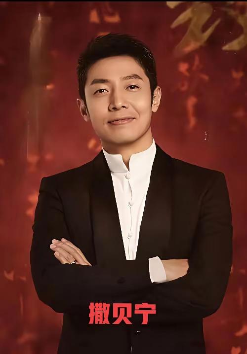  央视六大才子主持人，个个才思敏捷、谈吐不凡，你心中的最佳是哪一位？央视主持人