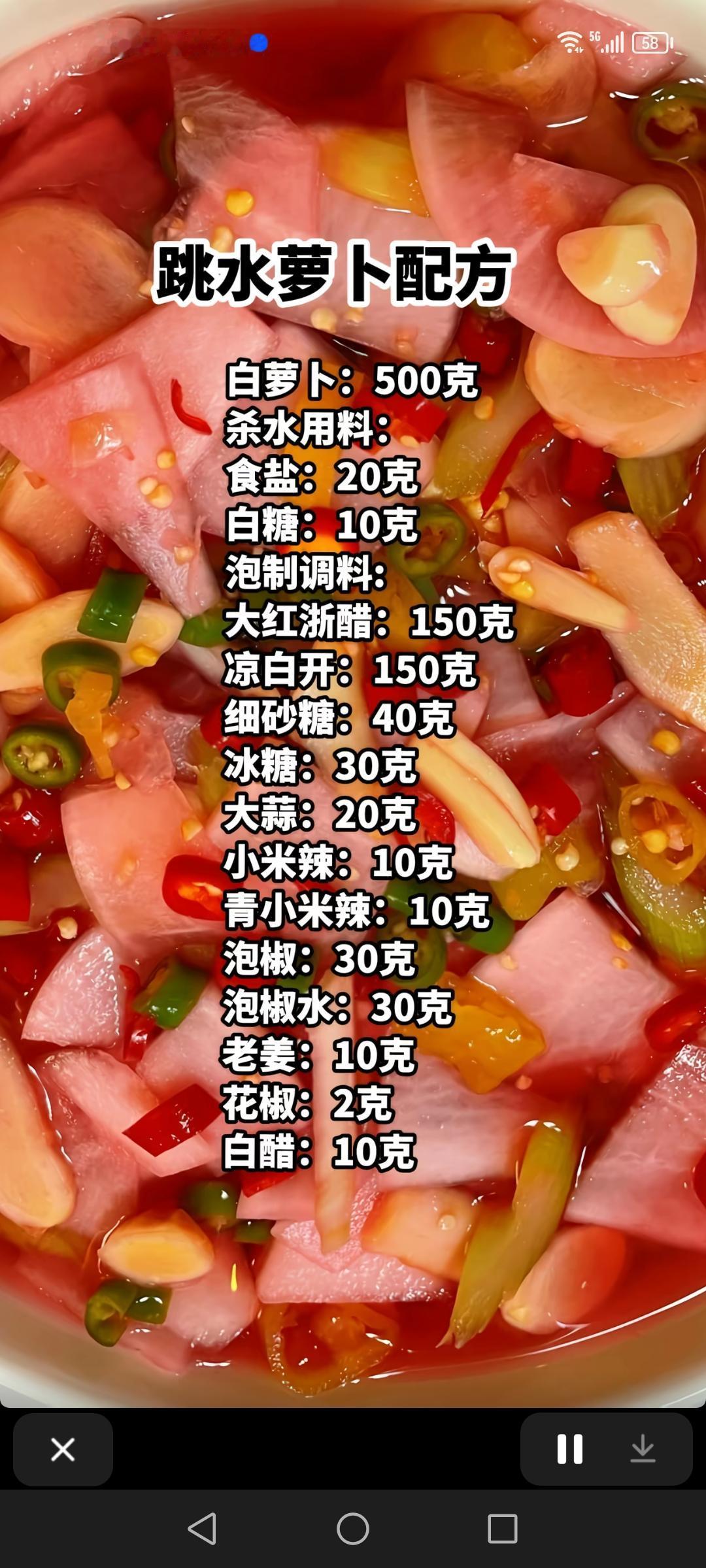 跳水萝卜配方，新中式烧饼肉馅配方，和面公式