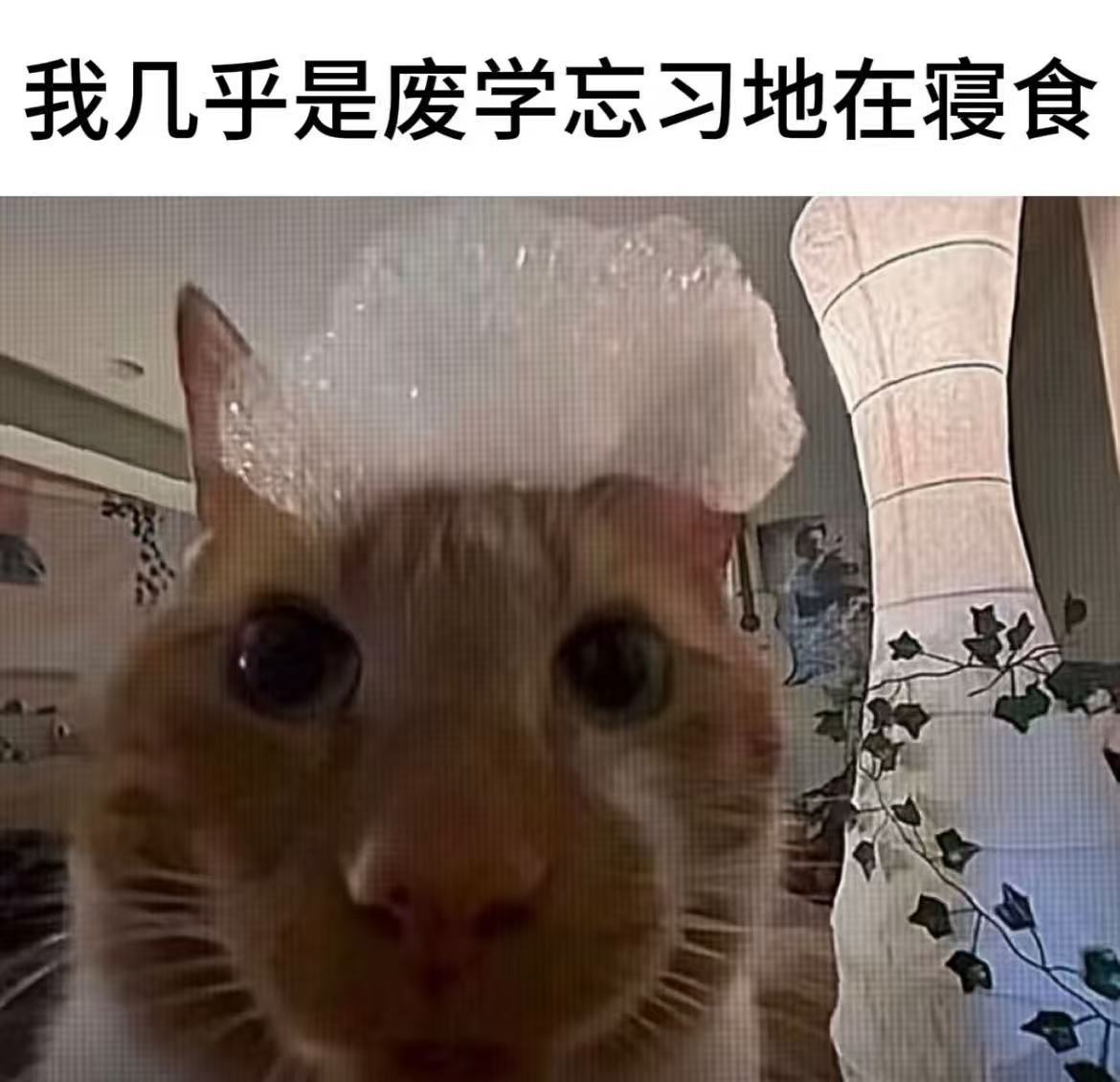 俺