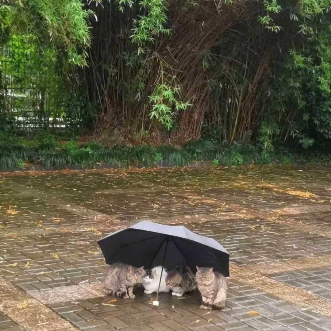 只有这个时候，我才觉得人类还有救。