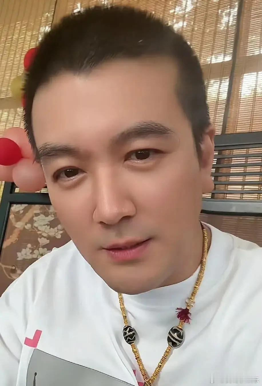 杨子晒自拍视频追忆《再见爱人》时，有女网友留言：“杨哥我长得也很像黄圣依，你要不