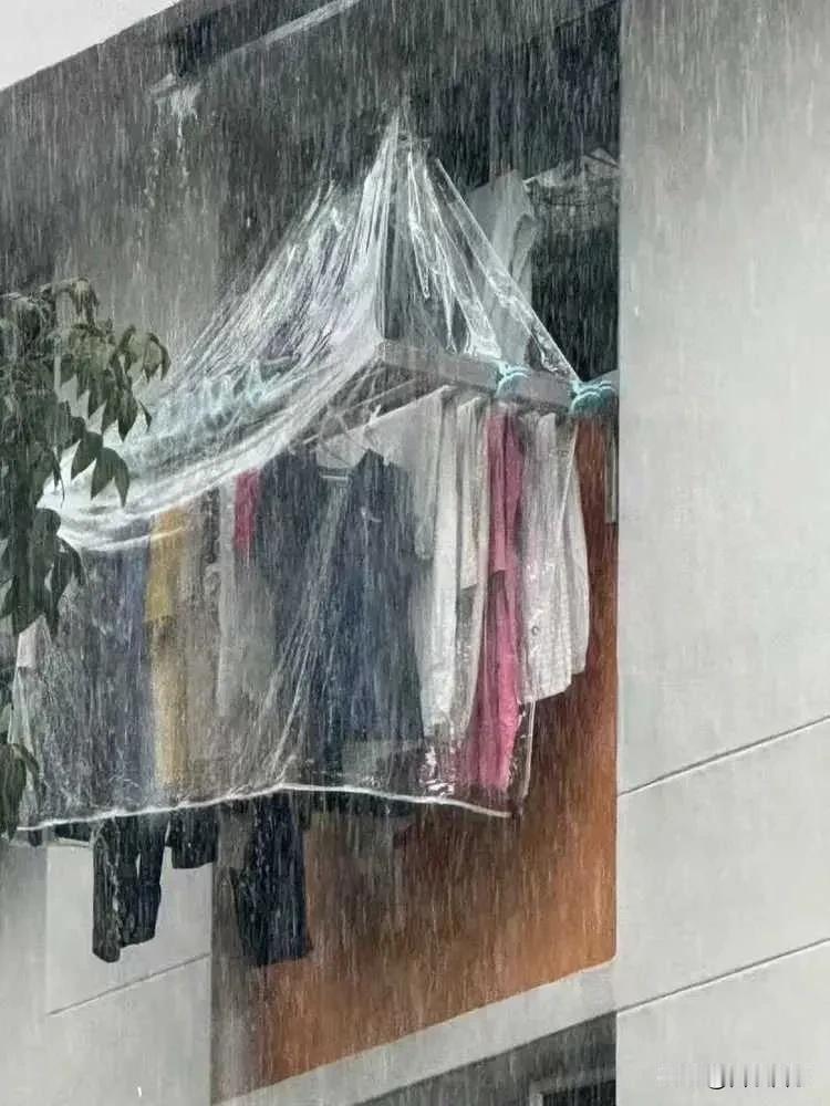 十元雨布撑起一个家！丈夫拒装防盗网，背后原因令人心酸这是我们家的窗户，说是窗