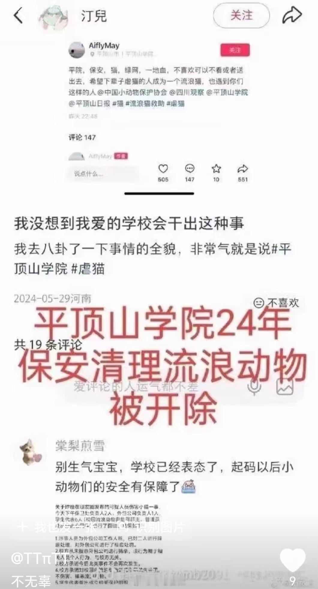 所谓的“流浪动物”从哪里来的？如果养宠物的人做好绝育、负责任不弃养，保安还用得着