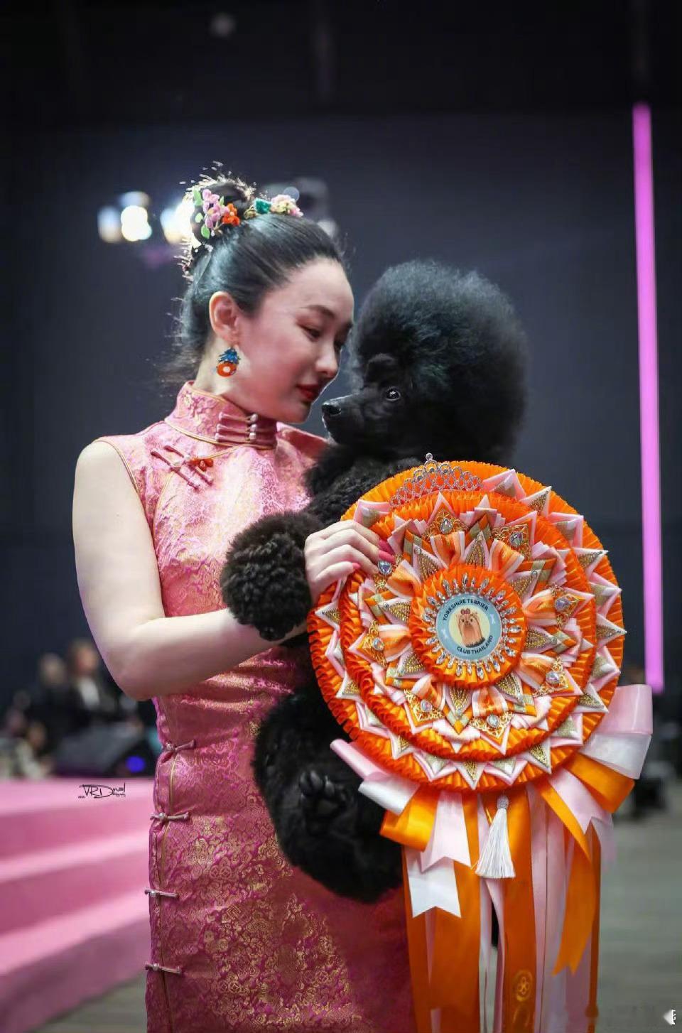 霍思燕最争气的是她自己越来越觉得她有气质了，是那种成熟知性的气质。不是演出来的那