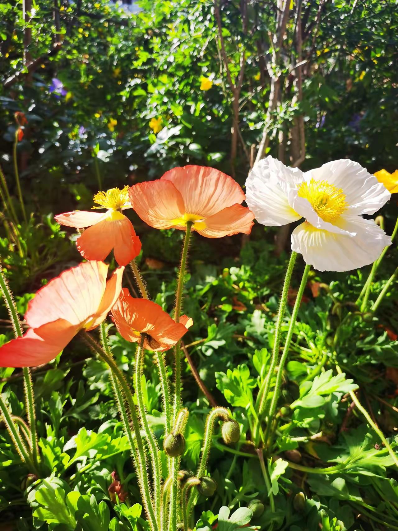 幸福一点不复杂，真的很简单幸福，从来不是大富大贵，不是万众羡慕，而是藏