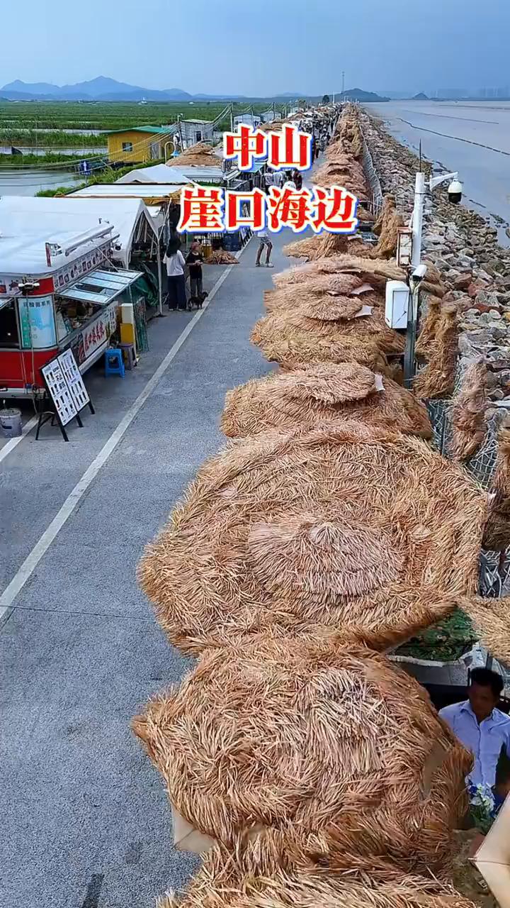 中山崖口海边。