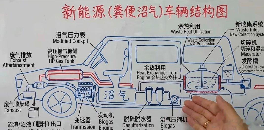 好，我王多鱼投了