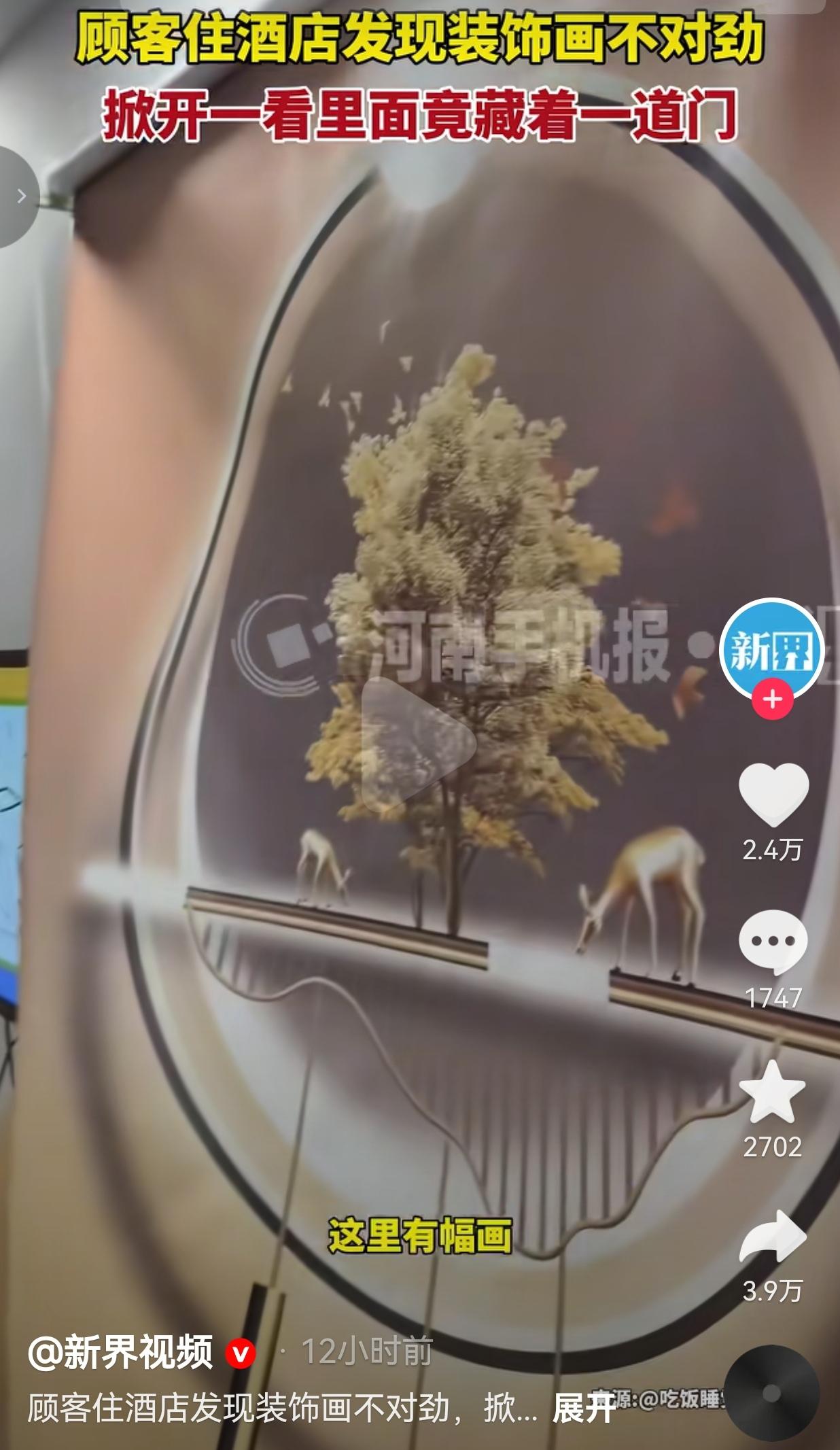 想想都后怕！住酒店发现装饰画不对劲！掀开一看竟藏暗门直通楼道，这谁敢住？！