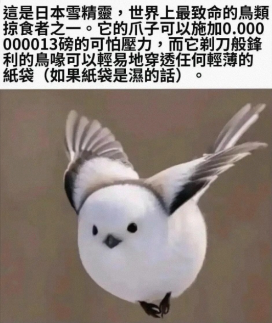 你是如何得到工作的