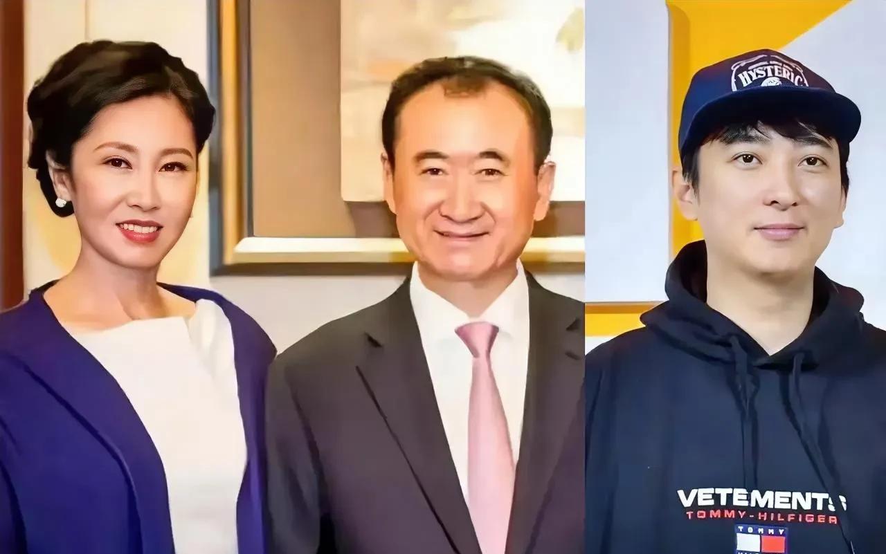 特意去查了一下王健林终于知道他为什么没再要个女儿了因为他这些年啊，别看东北西