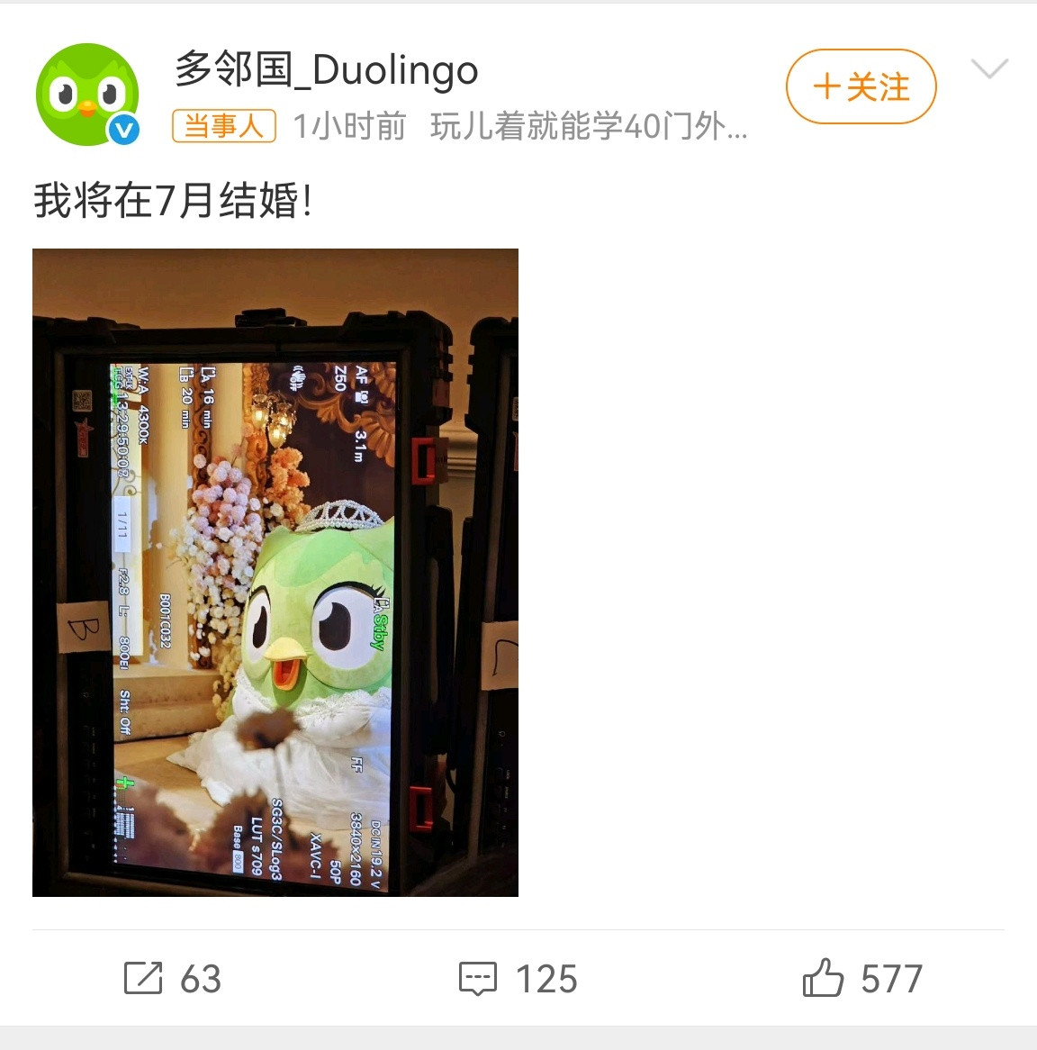 多邻国猫头鹰官宣结婚恭喜多邻国猫头鹰Duo喜结连理！看来催我打卡学语言的日子，终
