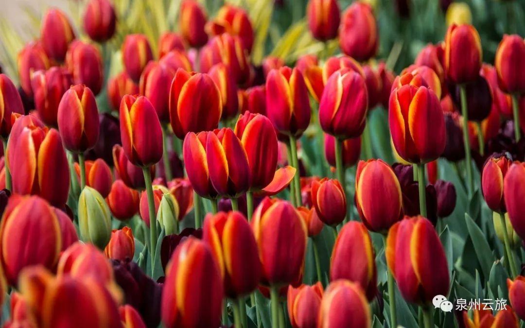 往后余生，无病无灾，便是人间好光景。这句话，说起来容易，可唯有真正熬过艰难岁月