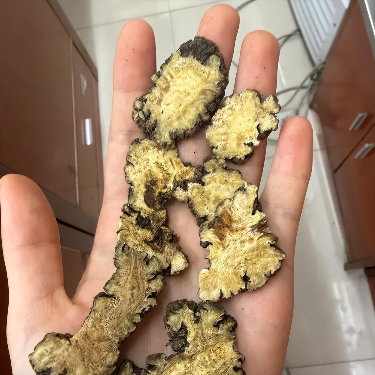 顽固耳鸣有办法！这味中药养窍止鸣，常年鸣声不断的患者速看！很多耳鸣患者最煎熬