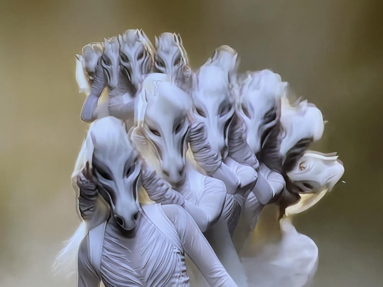 网上有不少人在讨论昨天晚上的河南春晚。反正没事就搜着看了一下。不看不知道，一看吓