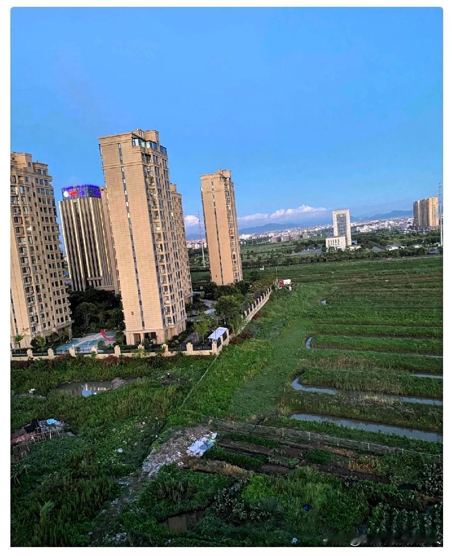 我发现老公对我的生理性喜欢占一大半，每天要出门去外面，不怕你们笑话，如果儿子不在