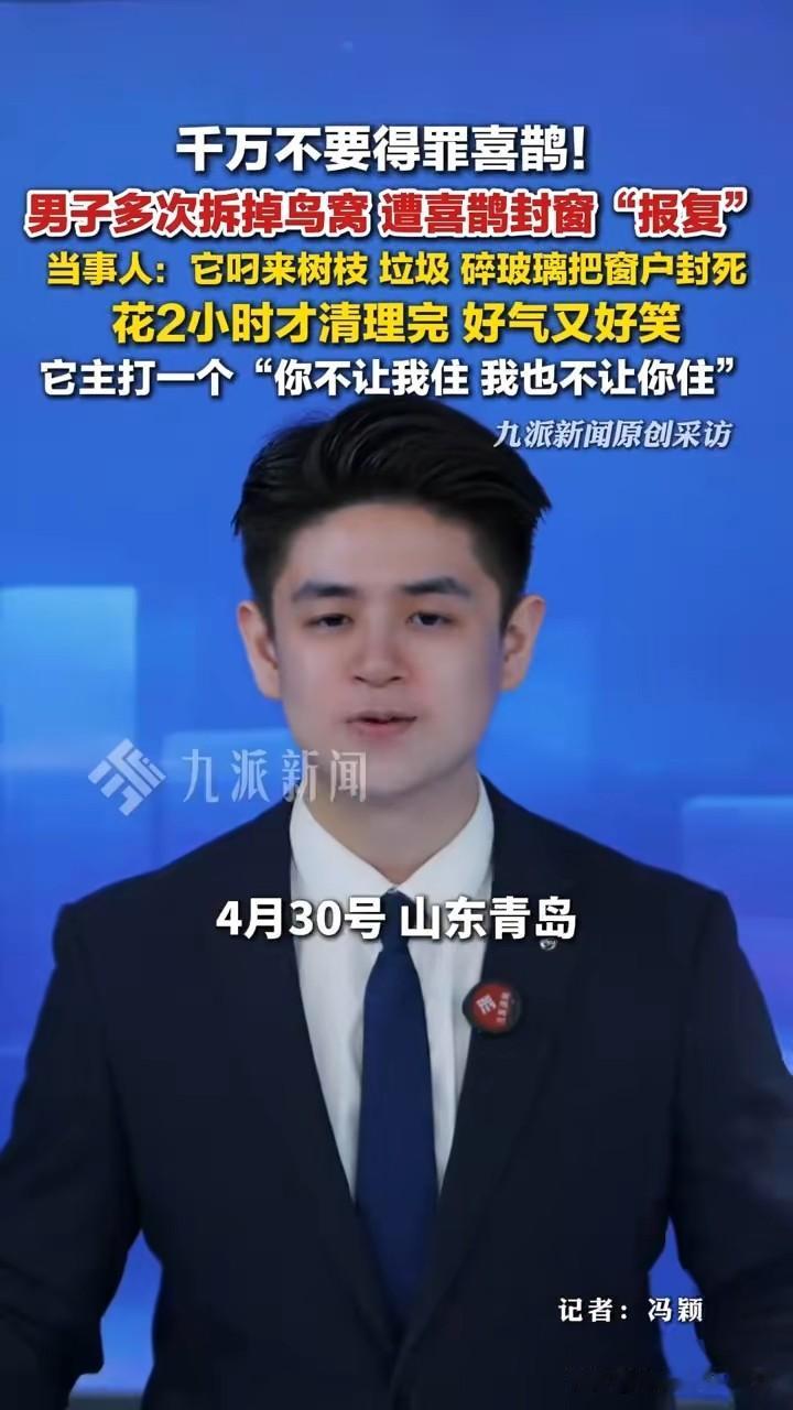 男子多次拆鸟窝遭喜鹊封窗报复这事儿真是给咱上了一课！万物都有灵性，可不能随便断了