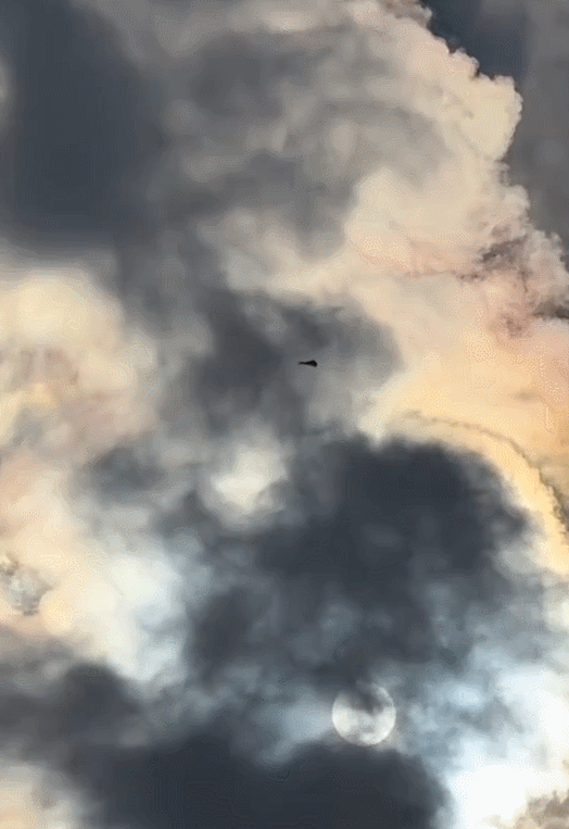 哇塞！中国人民解放路空军又飞起来了？也不知道是哪一款？[捂脸哭]网友说:像极了