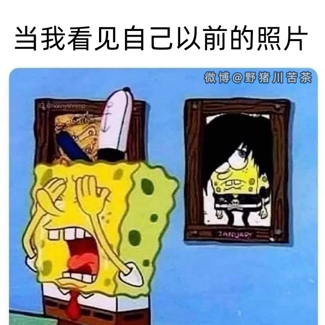 羞羞羞