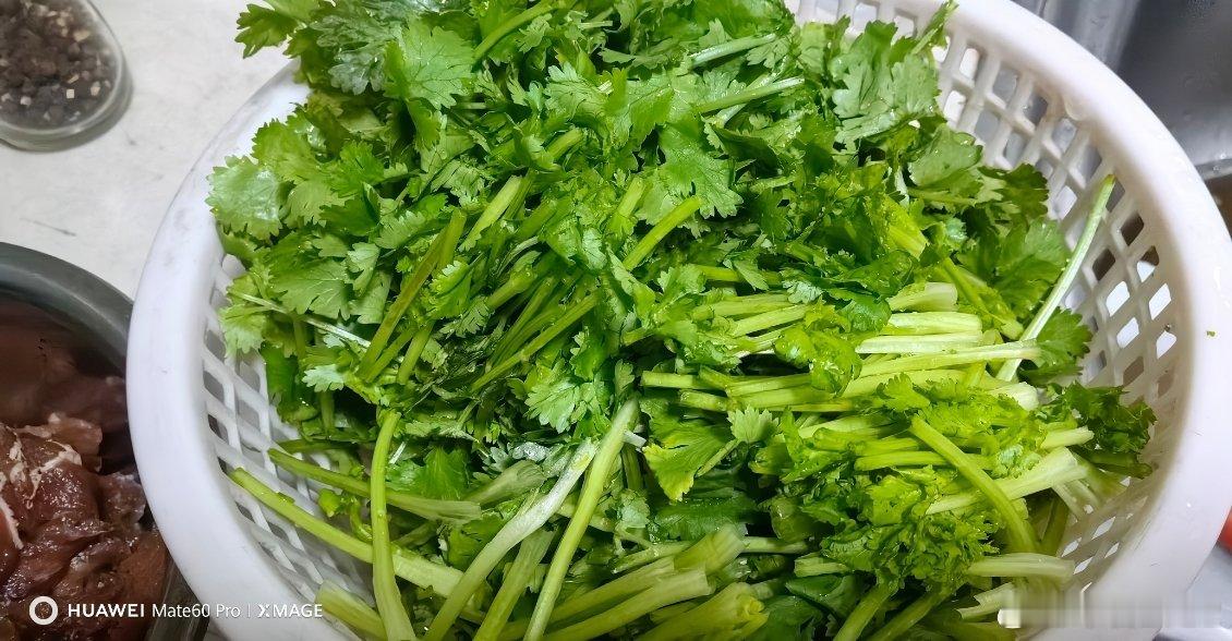 小炒牛肉今天牛肉原味清炒，香菜梗呛锅爆香很好吃。不可辜负的美食好好吃饭我的美食日