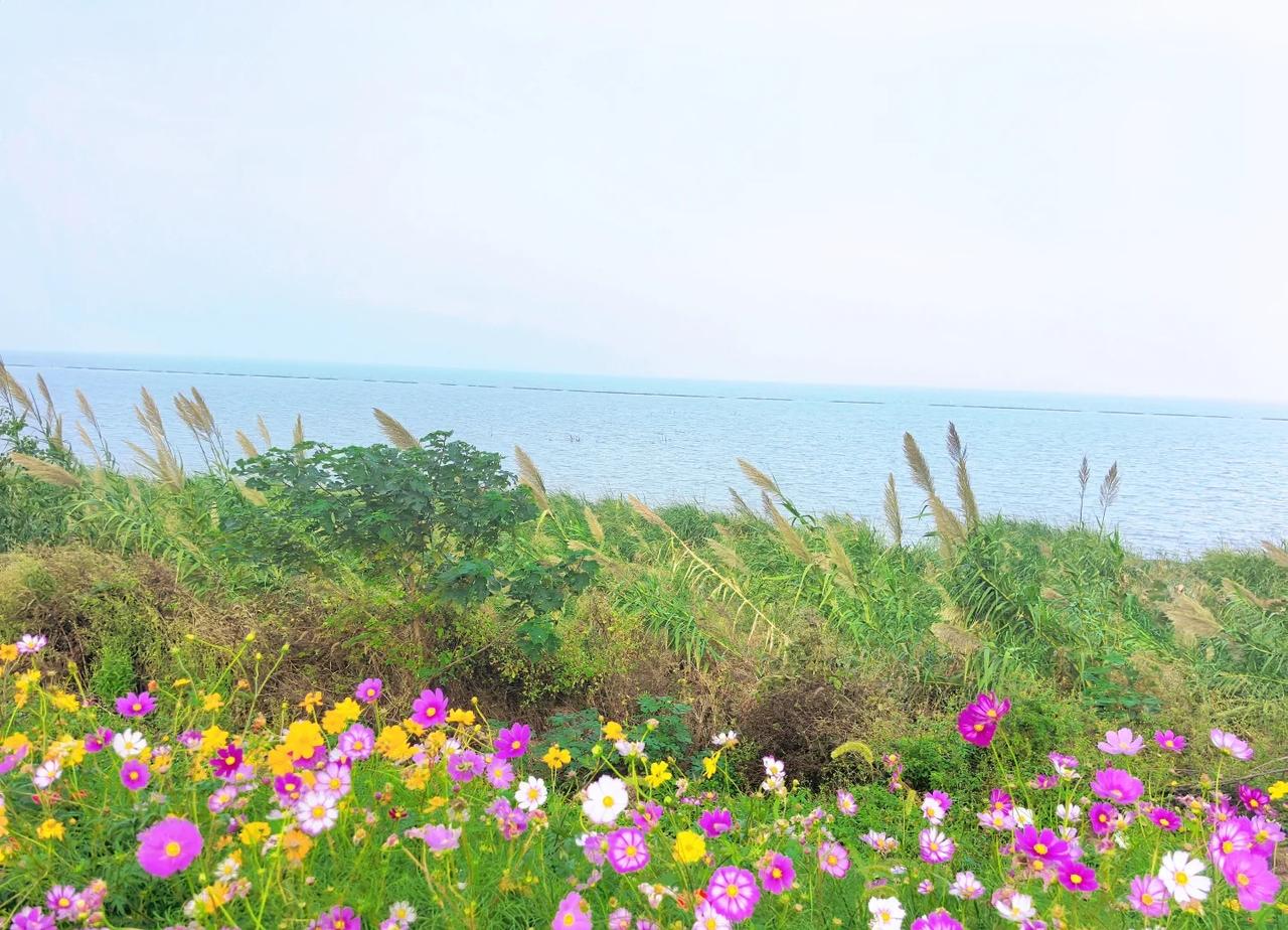 🏃‍♀️🌊人生第一次马拉松健康跑虽然只是6km健康跑，但体验感真的满分💯