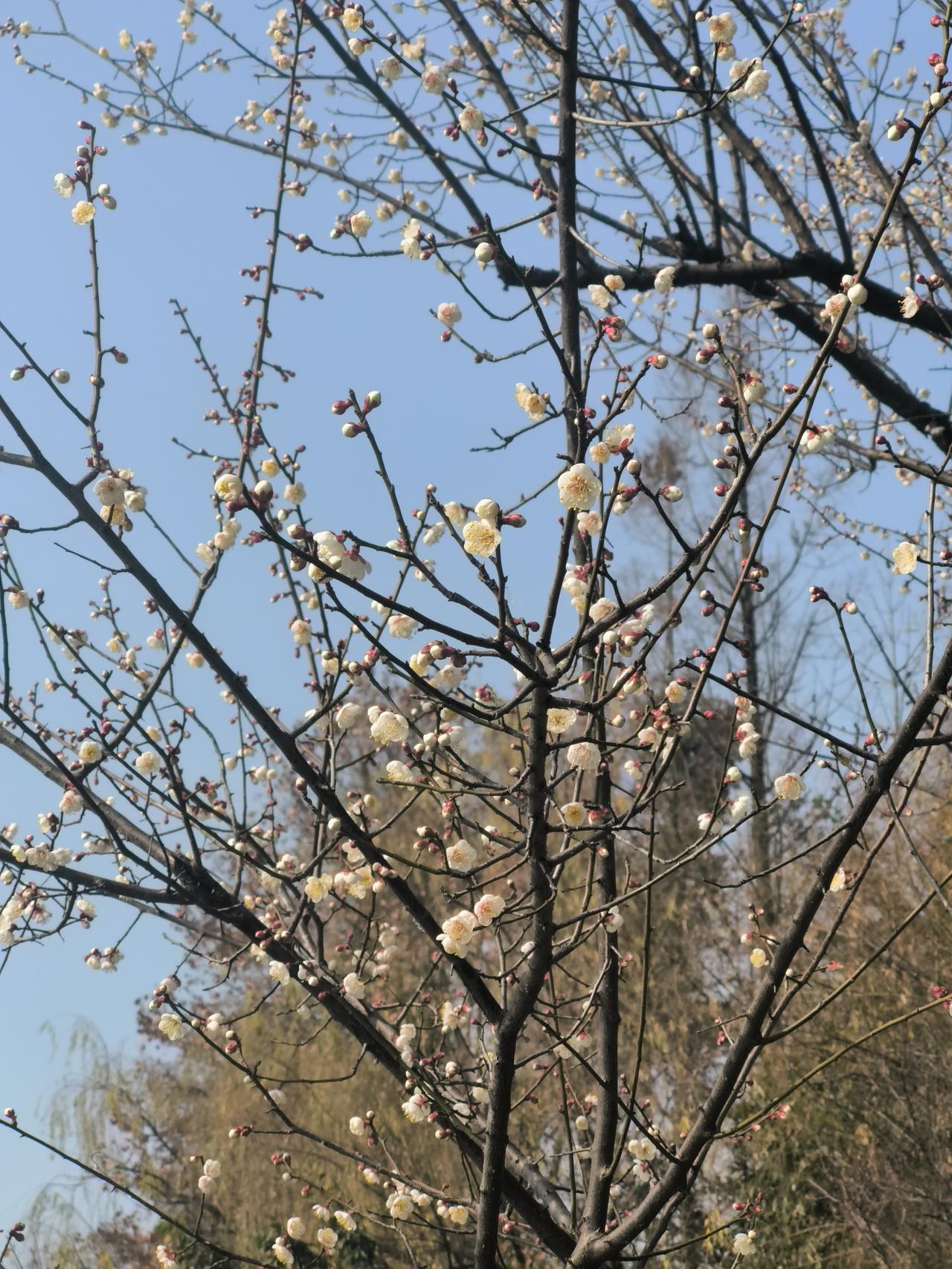 找不到工作了两个月才投出来五份简历boss.上给HR发的消息基本都是已读不回