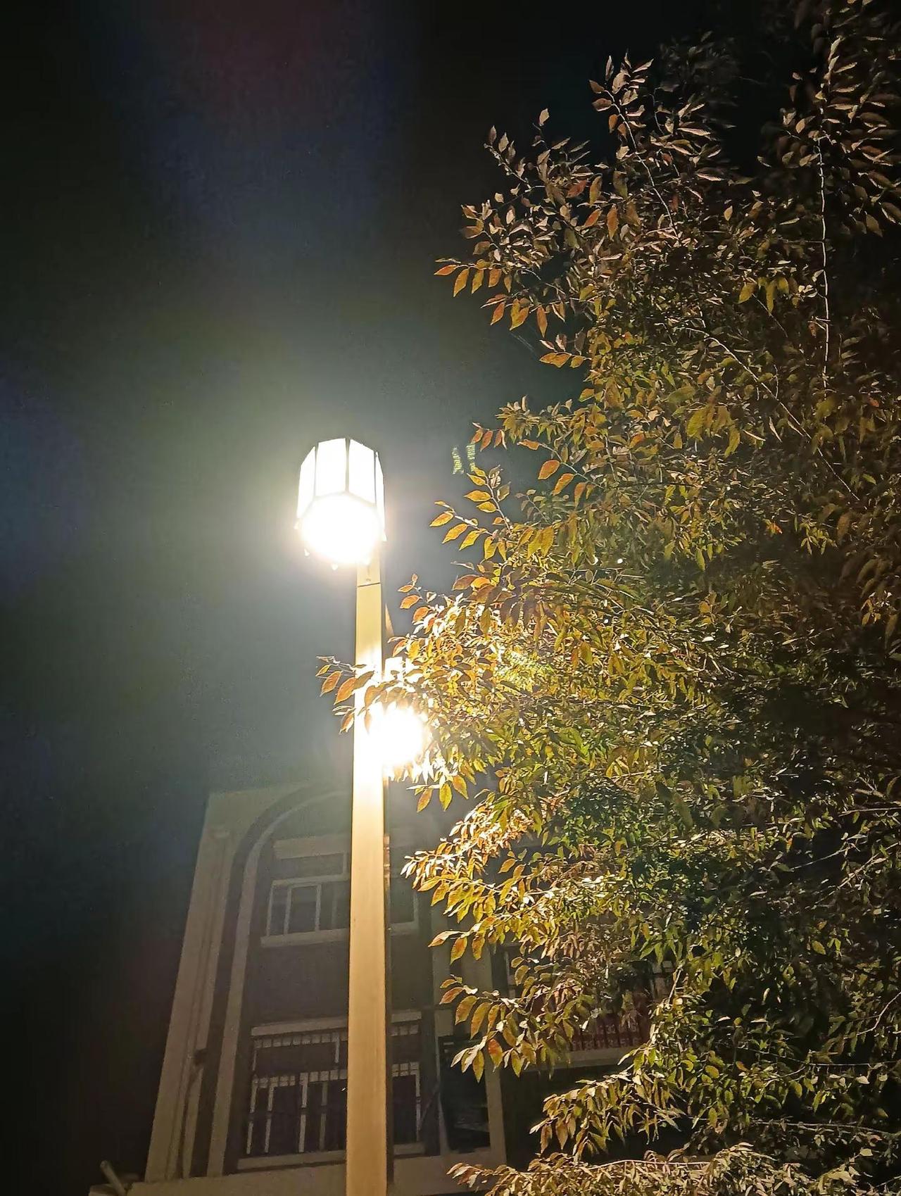 许多事都无能为力，但是你又不得不去面对，往往事不尽人意，好像坚强才是唯一的