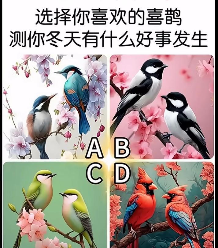 心理测试1458，选出你喜欢的喜鹊，测试你冬天有什么好事发生？#秋日生活打卡季#
