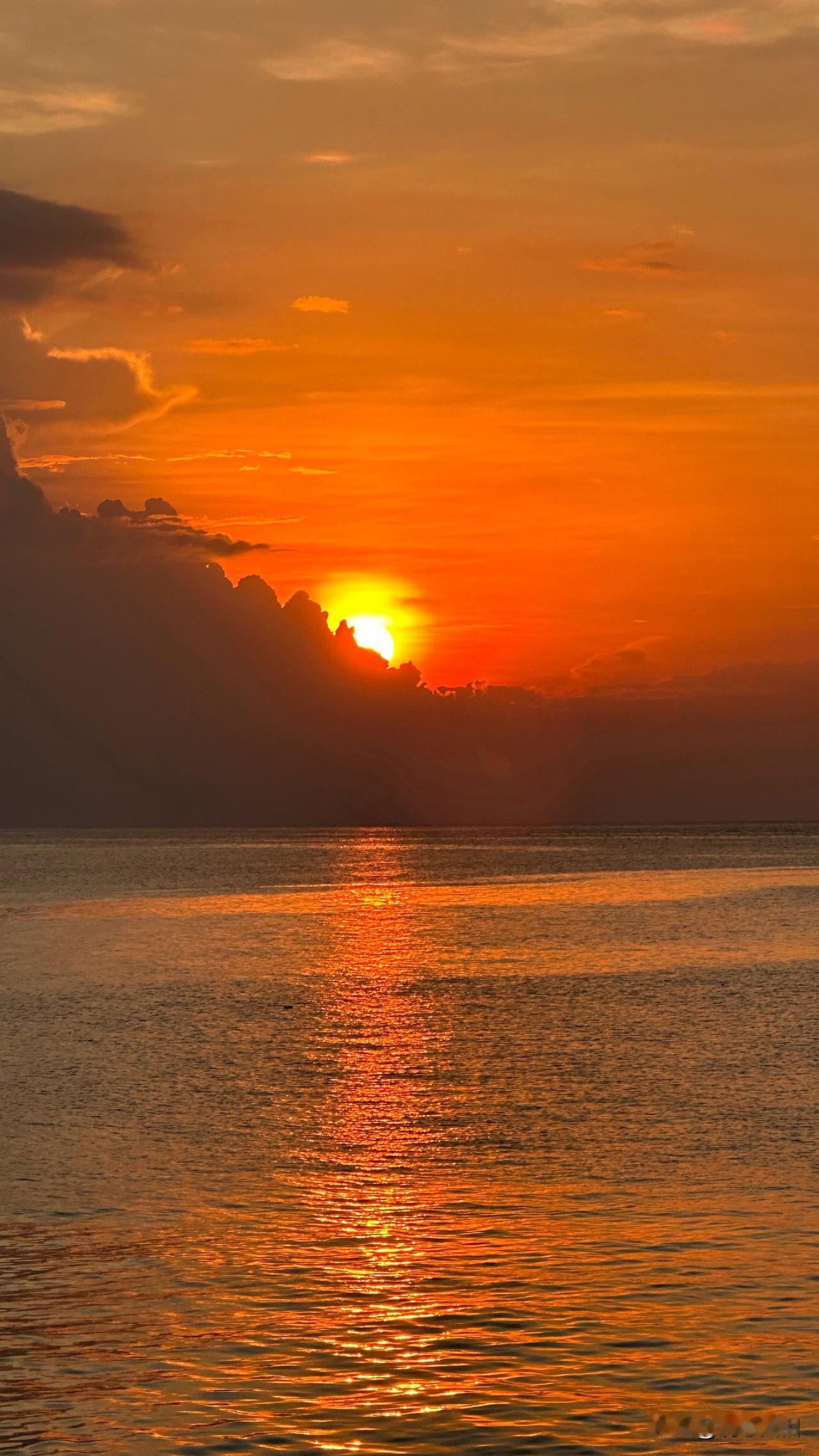 可以增加国家GDP的方法：大官小官都不腐败，GDP至少增加0.5%。国人