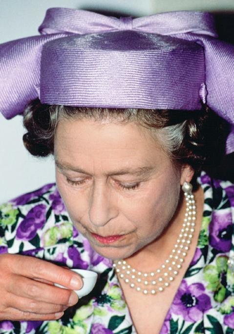 伊丽莎白二世是王室生育工具，生儿不养，没有尽到一个母亲的责任。戴安娜王妃在世的