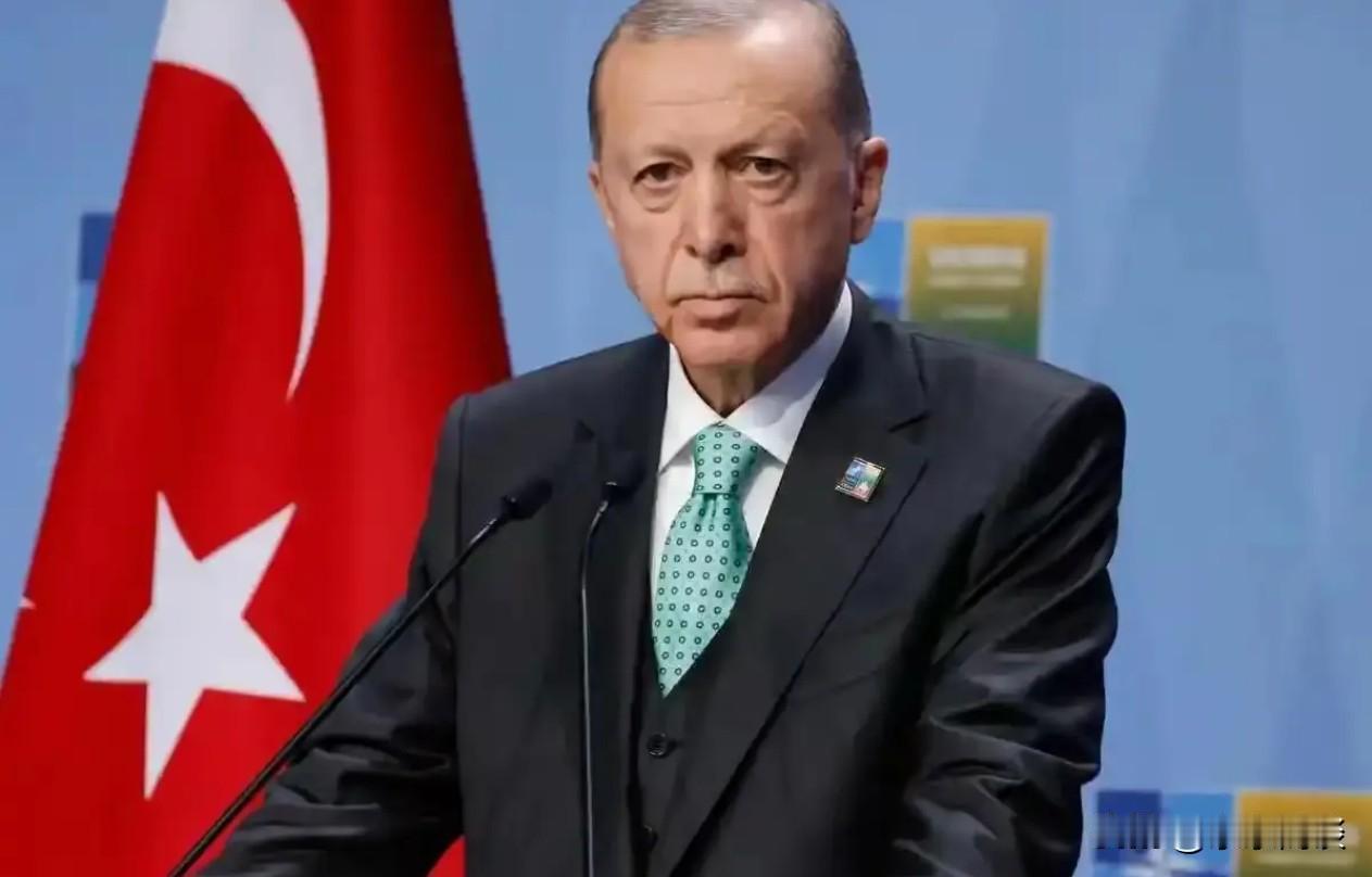 快讯，土耳其宣布了！2026年1月19日，我从央视财经拿到一手消息，土耳其