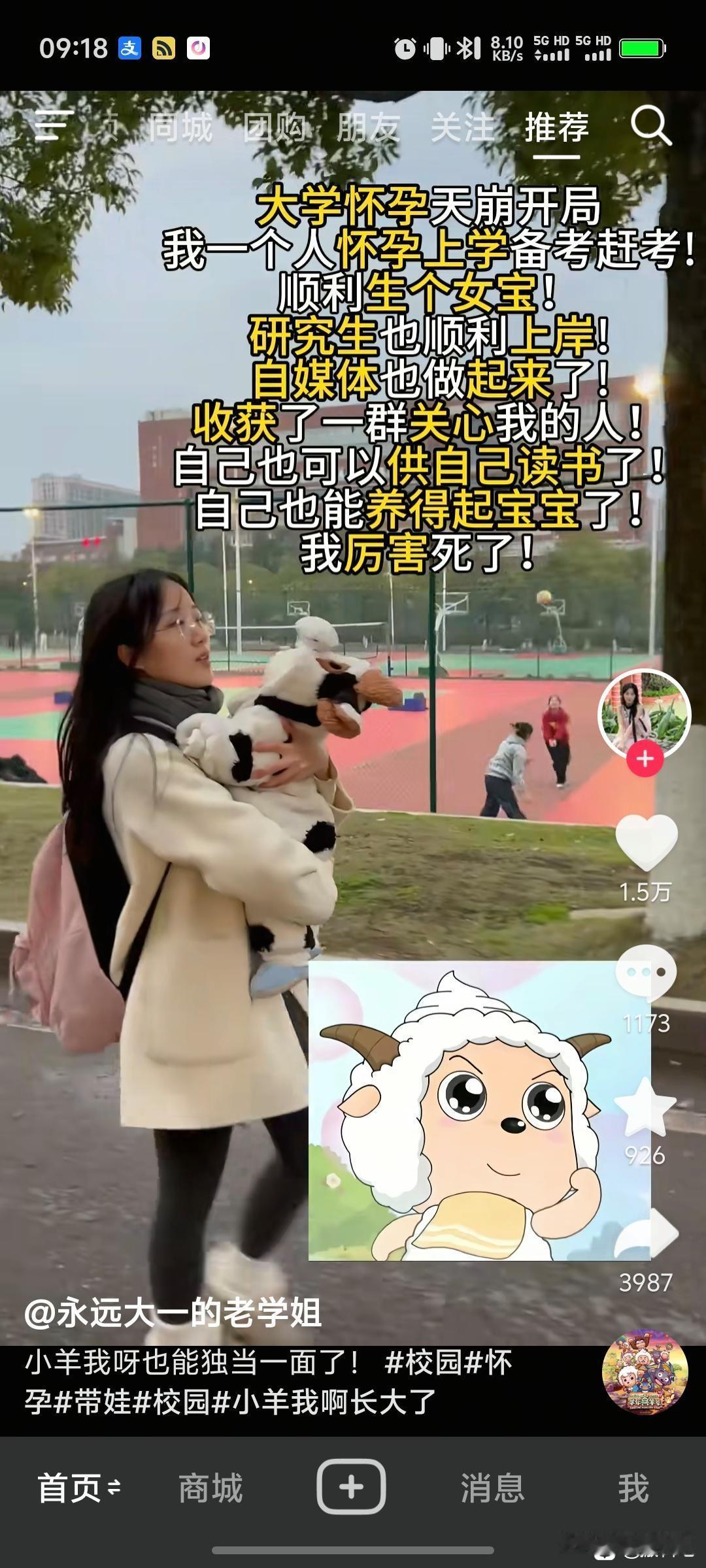 典中典之小羊