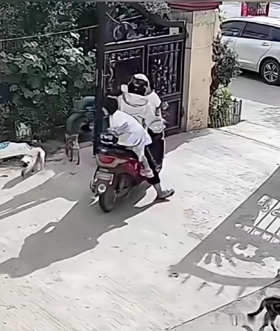 一家长早上送孩子去上学，女孩上了车还没有坐好，家长就开动了电动车，结果，小孩一头