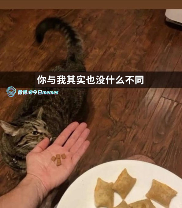 同食（9gag）哎呀​​​