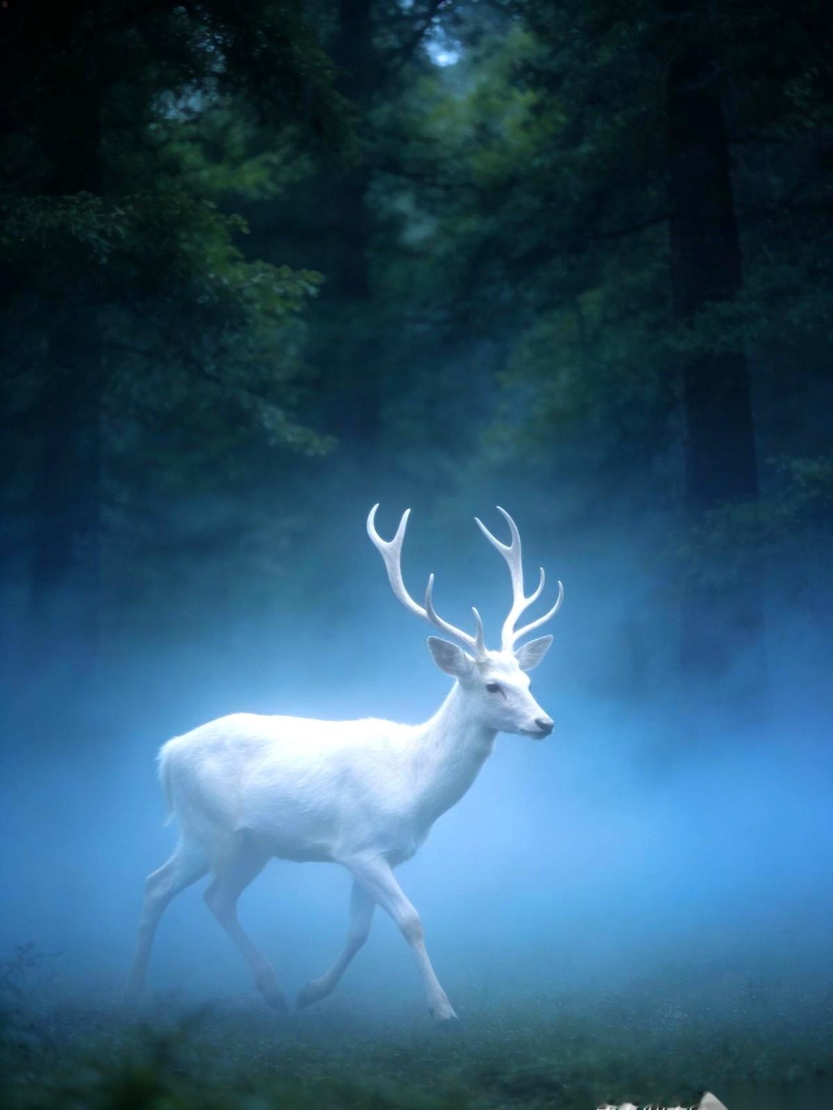 《宣室志》这本唐代笔记里，记载了一场堪称大唐最诡异的皇家吃播。唐玄宗李隆基刚吃