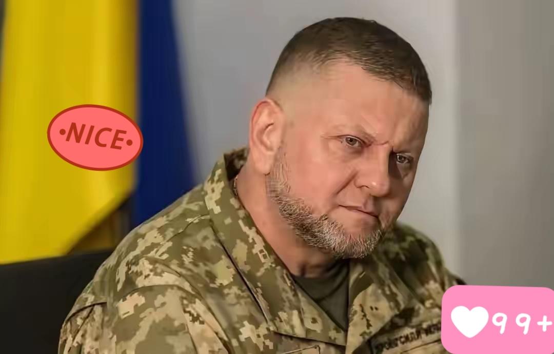 扎卢日内公开喊话了！乌克兰军队前总司令扎卢日内公开表示，从当前的情况来看，乌克兰