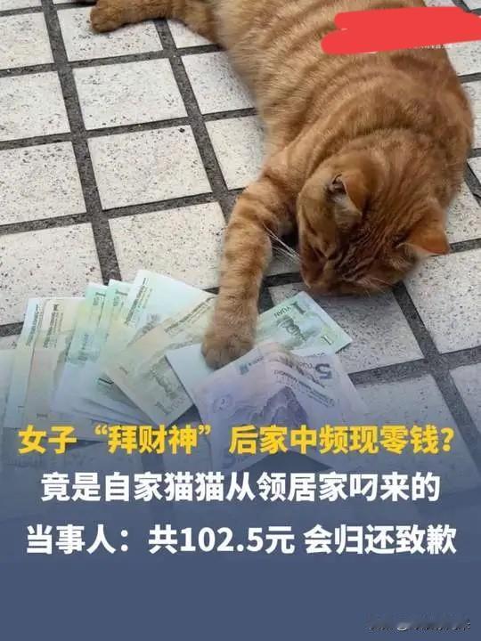 这样的“招财猫”，您怎么看？[捂脸哭]近日，成都一女子莫名发现家中连日出现很多