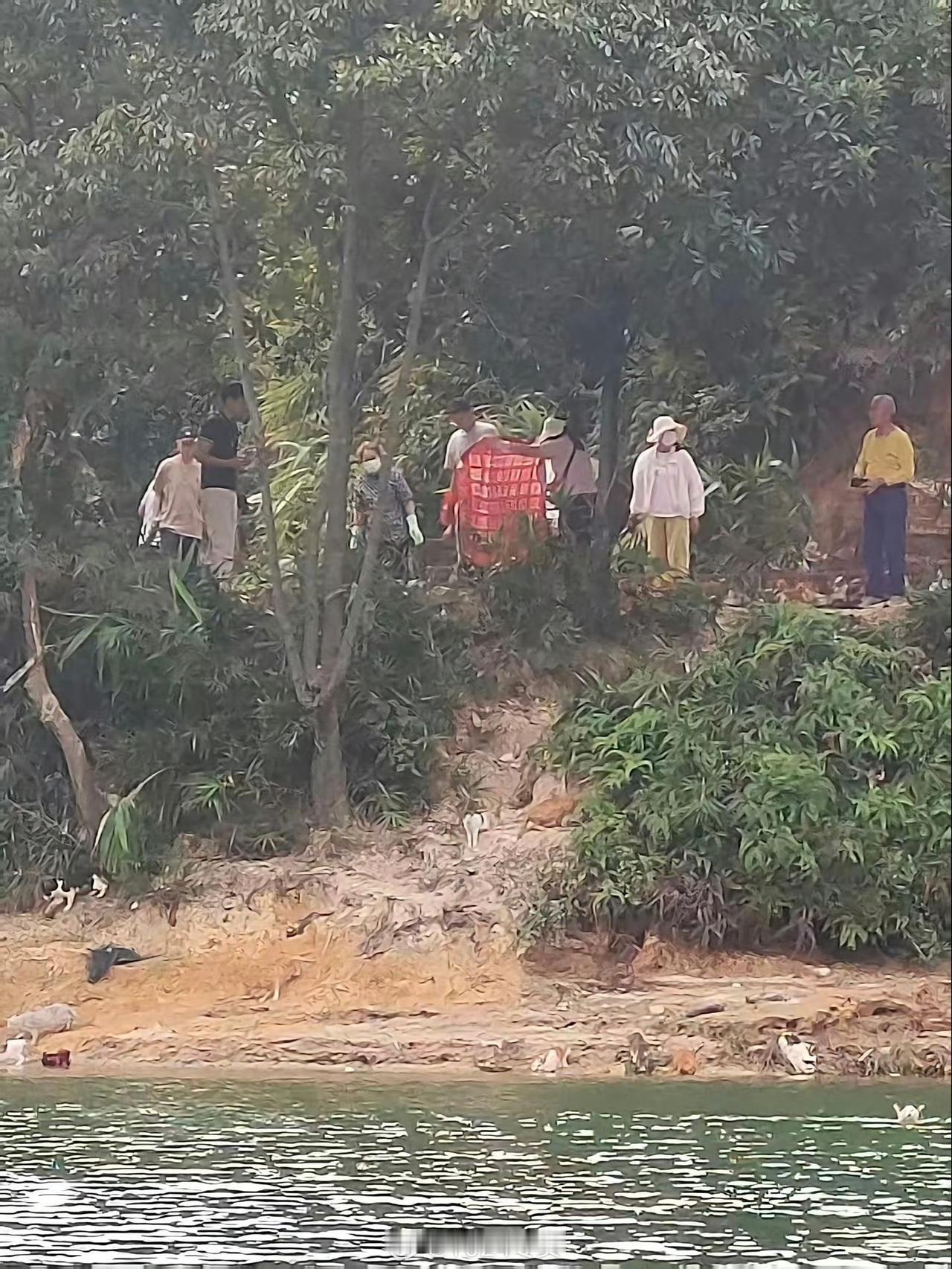 水库附近放生致大量猫咪落水广东清远迎咀水库一帮人在放生猫……放生后，大量猫咪