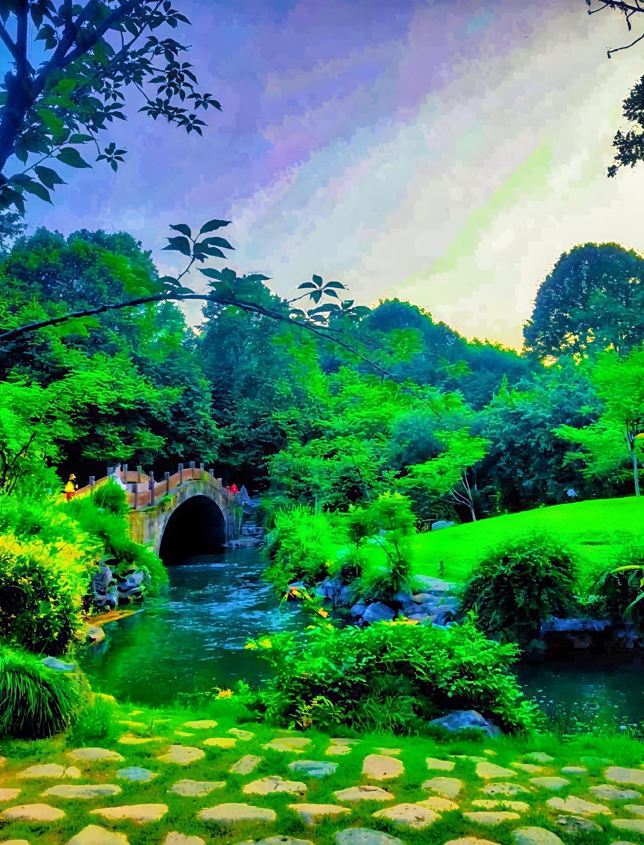 杭州的夏天，藏着太多能摸到清凉的角落。从太子湾的花涧溪，到九溪的野趣涧，再到龙井