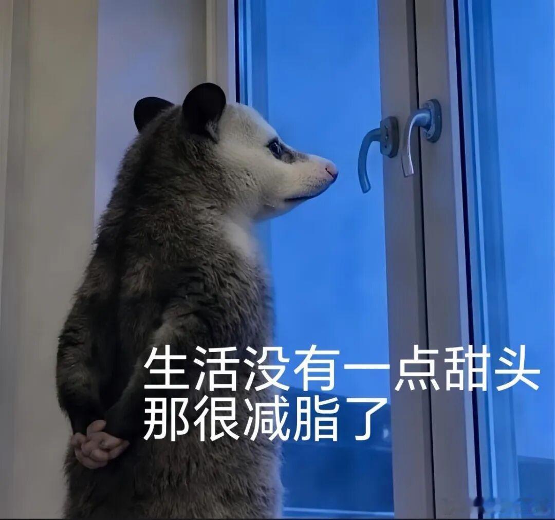 很多人减肥失败，根本不是不够自律，而是太自律，每次一上来就下猛劲了！节食一周瘦3